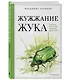 Жужжание жука. Полевые и не очень дневники орнитолога - фото 3