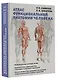 Атлас функциональной анатомии человека. Учебное пособие - фото 3