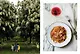 Итальянская классика. Рецепты и вкусные традиции от Турина до Сицилии - фото 5