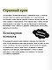 Комната ужасов. Вечные истории - фото 6