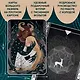 Дикая душа. Метафорические карты для работы с внутренней силой (36 карт и руководство) - фото 5