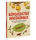 Королевство насекомых. Интерактивная книга с окошками о жизни муравьёв, ос и пчёл - фото 3