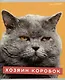 Тетрадь А5 96л кл. "Характер котика" скрепка, мелов.картон, глянц.ламинация, термопленка, офсет, 5 видов - фото 5