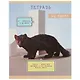 Тетрадь в клетку Listoff, "Редкий и пушистый", 48 листов, в ассортименте - фото 1