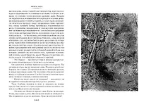 Проступок аббата Муре. Страница любви - фото 13