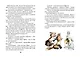 Тутта Карлссон, Первая и Единственная, Людвиг Четырнадцатый и другие - фото 5