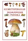 Иллюстрированная энциклопедия грибника. - фото 1
