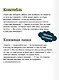 Книжная лавка фонарщика - фото 7