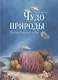 Чудо природы. История морской губки - фото 1