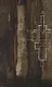Batman: Arkham Asylum The Deluxe Edition - фото 2