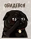 Тетрадь общая «Обаятельные мопсы», 48 листов в клетку, А5, в ассортименте - Listoff - фото 4
