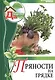 Моя чудесная дача. Том 6. Пряности на грядке - фото 1