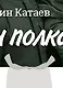 Сын полка. С непридуманными историями о детях на войне - фото 3