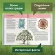 Растения. Полная энциклопедия: Мир растений в интересных фактах и красочных иллюстрациях - фото 5