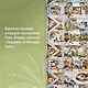 Город отголосков. Новая история Рима, его пап и жителей - фото 8
