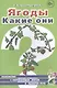 Ягоды. Какие они? Знакомство с окружающим миром и развитие речи - фото 1