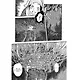 Знаток Муси. Бокс 1 (Комплект. Том 1-5) (Мастер Муси / Mushishi). Манга - фото 6