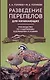 Разведение перепелов для начинающих. Руководство по содержанию в домашних условиях - фото 1