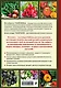 Дачная библия. Главная книга садовода и огородника - фото 2