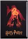 Обложка на паспорт Гарри Поттер - фото 1
