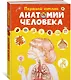 Первый атлас анатомии человека - фото 3
