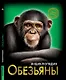 ЭНЦИКЛОПЕДИЯ. ХОЧУ ЗНАТЬ. ОБЕЗЬЯНЫ - фото 1