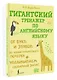 Гигантский тренажер по английскому языку: от букв и звуков до каллиграфического почерка + увеличиваем словарный запас - фото 3