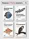 Defensive Security: лучшие практики обеспечения безопасности инфраструктур - фото 10
