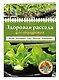 Здоровая рассада для сверхурожая - фото 3