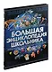 Большая энциклопедия школьника - фото 1