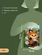 Живые игрушки. Котики, енотики, собачки, лисички - фото 6