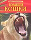 Большие кошки. - фото 1