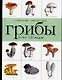 Справочник-определитель.Грибы.Более 120 видов - фото 1