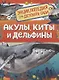 Акулы, киты и дельфины. Энциклопедия для детского сада - фото 1