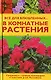 Все для влюбленных...в комнатные растения - фото 1