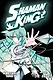 Shaman King Omnibus 7 (Vol. 19-21) - фото 2