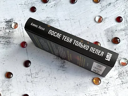 После тебя только пепел - фото 10