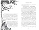 Тридцать три несчастья. Том 2. Небывалые неприятности - фото 8