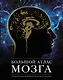 Большой атлас мозга - фото 1