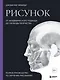 Рисунок. От академического подхода до свободы творчества. Полное руководство по обучению рисованию - фото 1