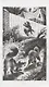 Нерассказанные истории. Сердце Пестролистой - фото 4