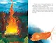 Царевны. Варя и земли Феникса - фото 9