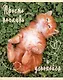 Тетрадь в клетку Listoff, "Погладь котика", 48 листов, в ассортименте - фото 5
