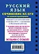 Русский язык. Сочинение на ЕГЭ по новым критериям - фото 2