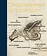 Очарованный остров. Новые сказки об Италии: сборник - фото 1