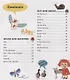 First Animals. Clever Encyclopedia. Over 500 Words To Learn - фото 2