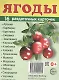 Дем. картинки СУПЕР Ягоды.16 раздаточных карточек с текстом (63х87мм) - фото 1