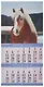 Календарь 2026г 285*285 "Год Лошади. Вид 1" 6л, настенный, на скрепке - фото 3