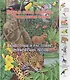 Животные и растения тропических лесов (ПерКнМалУчНовСл) (картон) Комарова - фото 1
