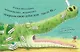 Штука-Дрюка: книжка-картинка - фото 4